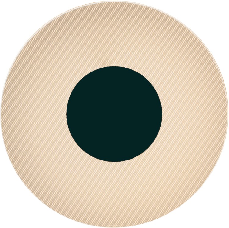 Настенный светильник Venus 8011
